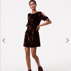 Loft fall floral velvet dress